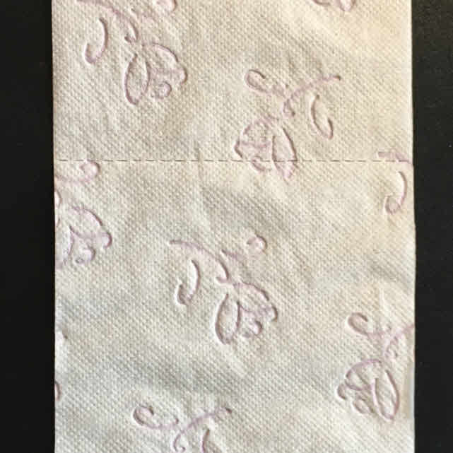 Ein Blatt dieses Papiers