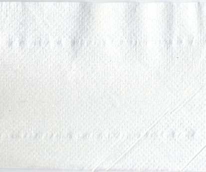 Ein Blatt dieses Papiers