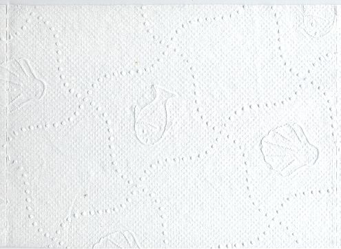 Ein Blatt dieses Papiers