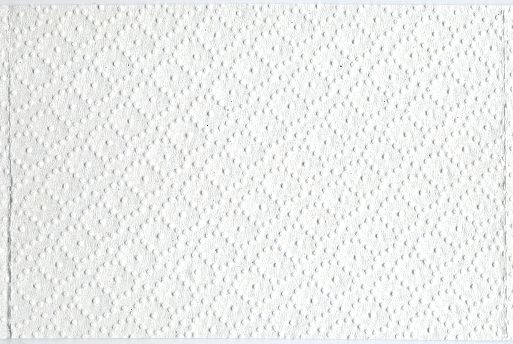 Ein Blatt dieses Papiers