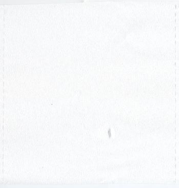 Ein Blatt dieses Papiers