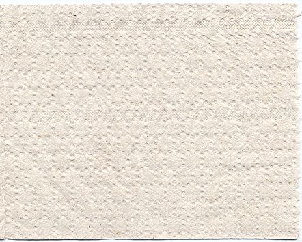 Ein Blatt dieses Papiers