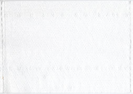 Ein Blatt dieses Papiers