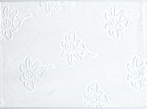 Ein Blatt dieses Papiers