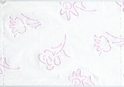 Ein Blatt dieses Papiers