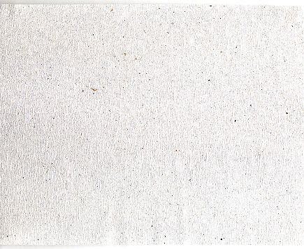 Ein Blatt dieses Papiers