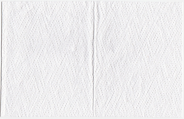 Ein Blatt dieses Papiers