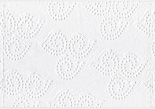Ein Blatt dieses Papiers