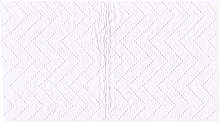 Ein Blatt dieses Papiers