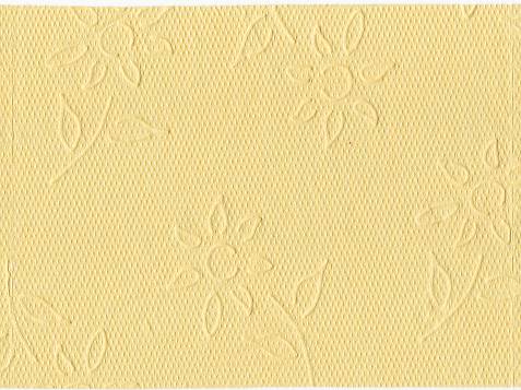 Ein Blatt dieses Papiers